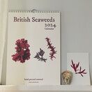 Seaweed Calendar 2024 - SPECIAL OFFER! additional 1