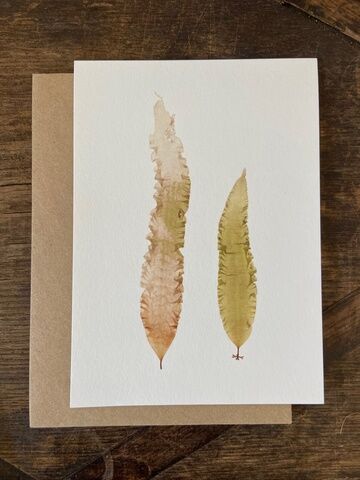Sugar Kelp pair - Greeting Card