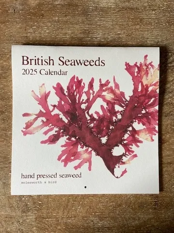 Seaweed Calendar 2025