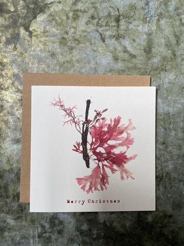 Christmas Card - Leafy Rose Weed