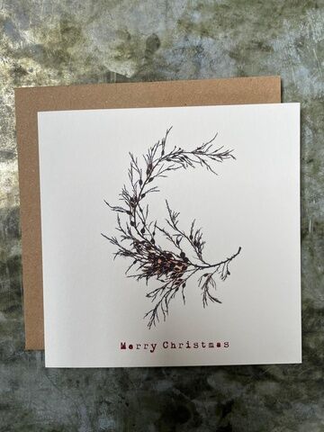 Christmas Card - Wireweed