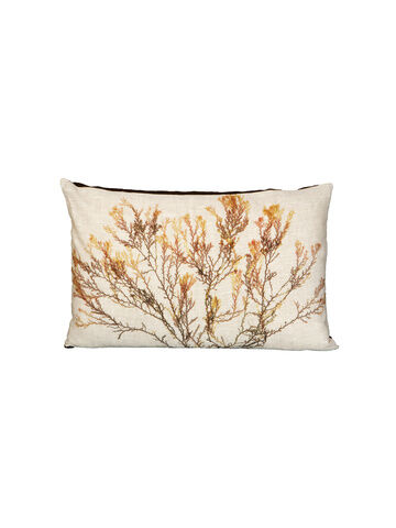 Seaweed Print Linen Oblong Cushion Cover - Red Comb Weed (brown)