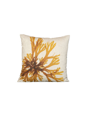 Seaweed Print Linen Square Cushion Cover - Brown Fan Weed