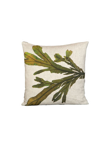 Seaweed Print Linen Square Cushion Cover - Spiral Wrack