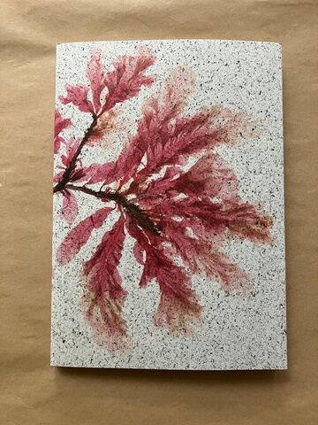 Seaweed Print A5 Notebook - Sea Beech