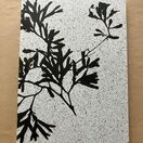 Seaweed Print A5 Notebook - Bladder Wrack additional 1