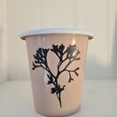 Seaweed Etched Enamelware Tumbler Marie Rose - Bladder Wrack additional 1