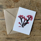 Rosy Fan Weed Greeting Card additional 1