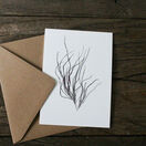 Pack of 8 British Seaweeds Greetings Cards - Set 1 additional 8