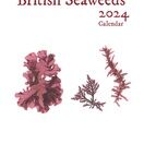 Seaweed Calendar 2024 - SPECIAL OFFER! additional 2