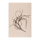 Tideline Collection - Thong Weed on Rose Grey Murano Paper additional 1