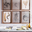 Tidelines Collection - Netted Winged Weed on Rose Grey Murano Paper additional 2