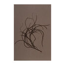 Tidelines Collection - Thong Weed on Slate Grey Murano Paper additional 1