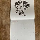 Seaweed Calendar 2025 additional 11