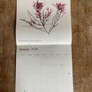 Seaweed Calendar 2025 additional 15