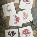 Set of 6 Christmas Cards additional 1