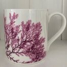 Seaweed Print Bone China Mug - Red Comb Weed additional 1