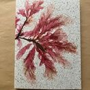 Seaweed Print A5 Notebook - Sea Beech additional 1