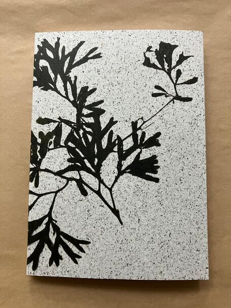 Seaweed Print A5 Notebook - Bladder Wrack