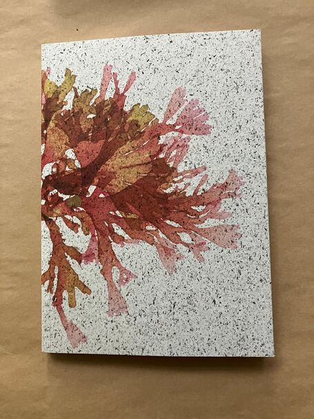 Seaweed Print A5 Notebook - Beautiful Fan Weed