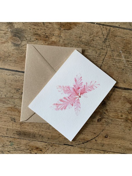 Sea Beech (pale pink) Greeting Card