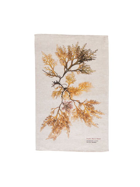 Seaweed Print Natural (un-bleached) Linen Union Tea Towel - Royal Fern Weed