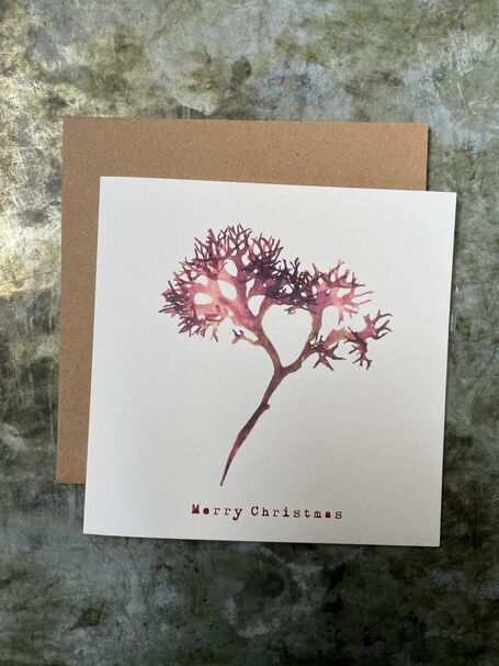 Christmas Card - Irish Moss